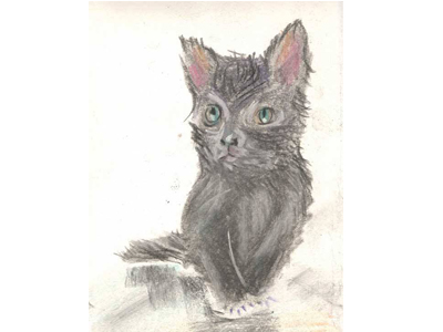drawing cat