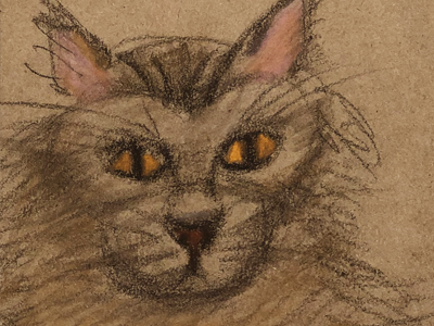drawing cat