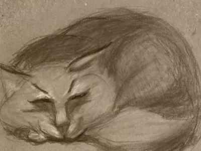 drawing cat