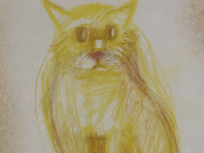 drawing cat