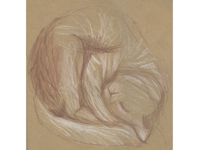 drawing cat