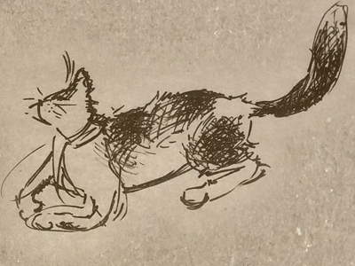 drawing cat